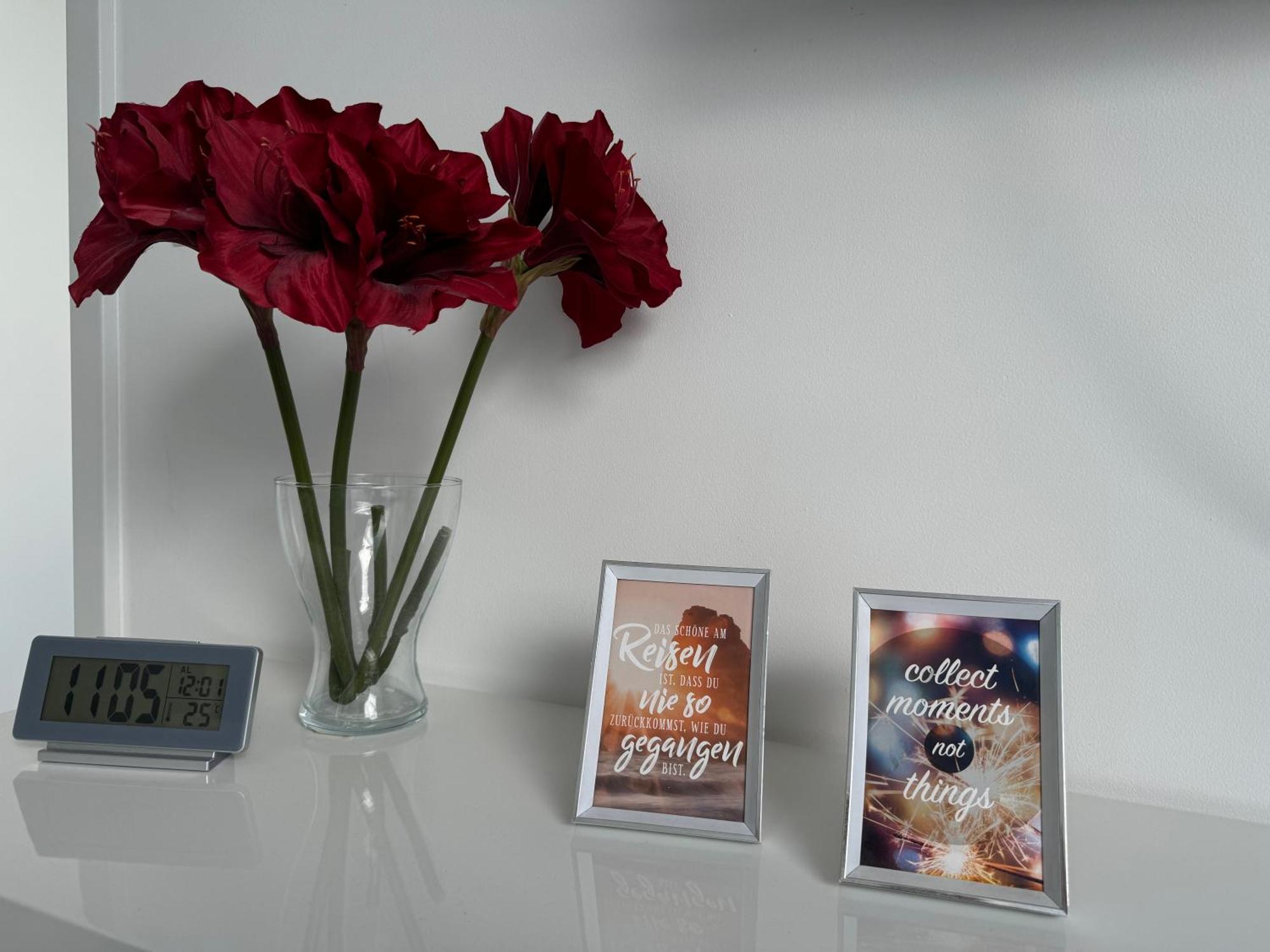 Prime Host Apartments คาร์ลสรูเฮอ ภายนอก รูปภาพ
